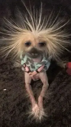 when I wake up and my mom sees me with my hair standing up XD