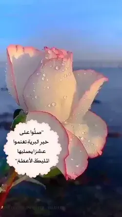 ‏"صلُّوا على خيرِ البريةِ تغنموا  عشرًا يصليها المليكُ الأعظمُ" ﷺ🌷ا