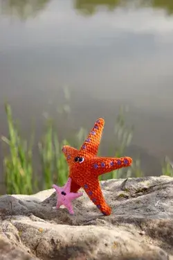 Crochet starfish pattern. DIY plush toy amigurumi tutorial in English. Funny starfish pdf