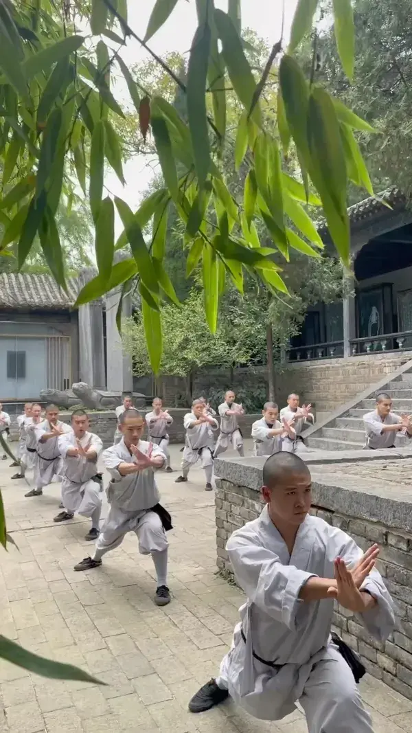 Shaolin Kung Fu