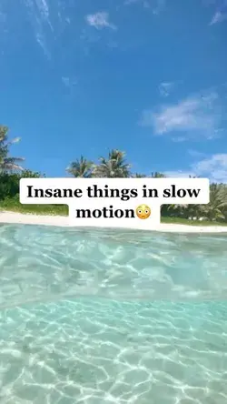 Insane things in slow motion 👀❓