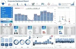 Programming Report software  on computers by