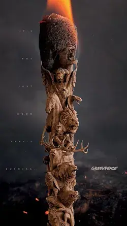 It’s not just wood – Greenpeace