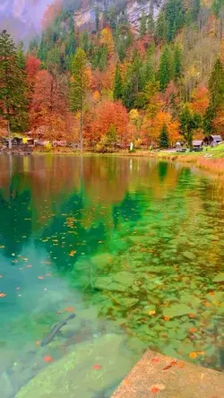Mesmerized by the beauty of Blausee, Switzerland