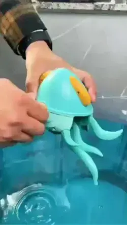 Octopus 🐙