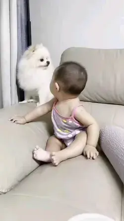 funny dog and child