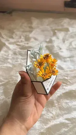 🌻🌻