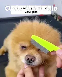 satisfying pet stains comb cleaner