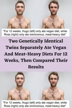 Two Genetically Identical Twins Separately Ate Vegan And Meat-Heavy Diets For 12 Weeks, Then Compar