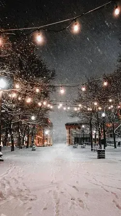 walks downtown in the snow