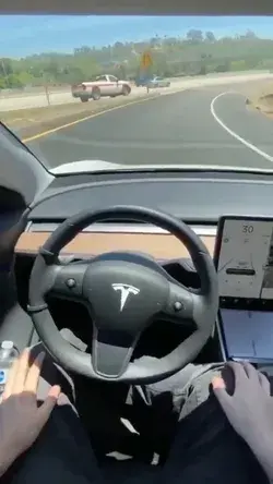 Tesla autopilot like a boss