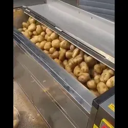 Potato peeling equipment