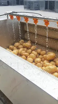 Potato Washing Peeling Machine Hot Sale+8618537181327