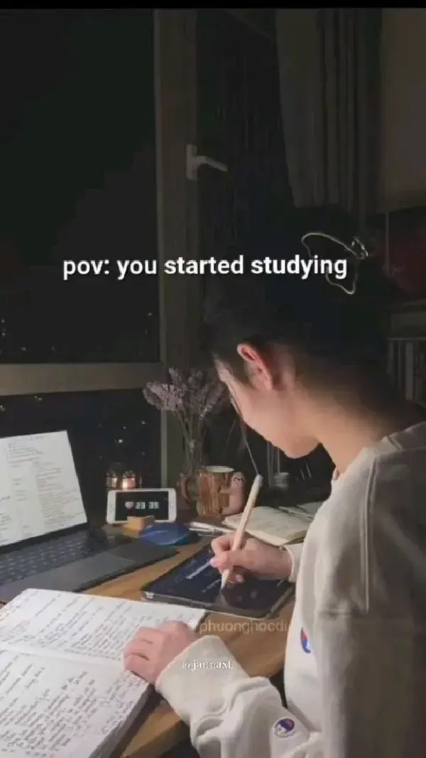 Pov: You started studying ✨