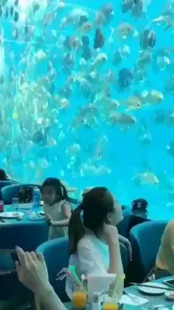 amazing undersea restaurant 🌊🐋