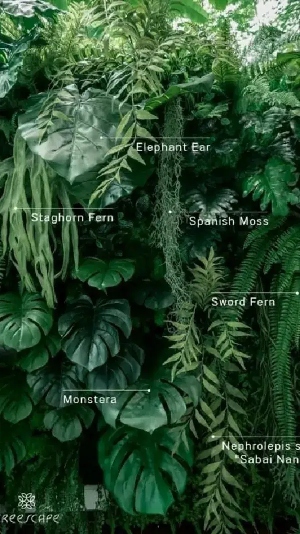 Different Types Of Plants In Your Backyard