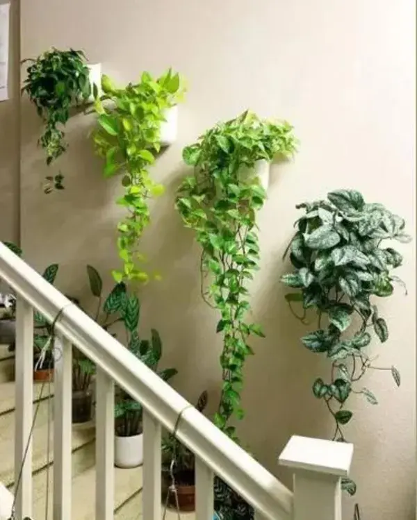 Stairs With Plants Ideas