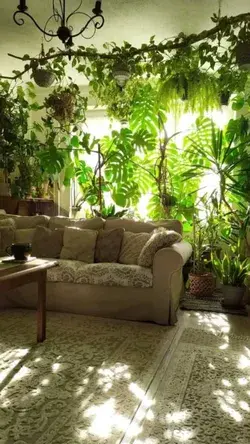 Living room & plants (📸By: Cilu koval (fb)
