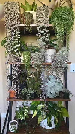 Plants | planters | fall trends | fall decor 2022 | plant pots | plant stands