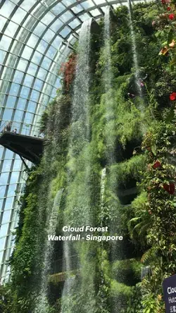 Cloud Forest Waterfall - Singapore