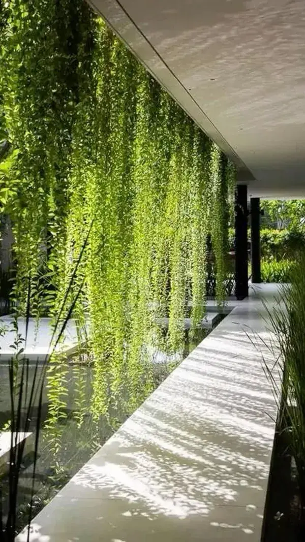 Biophilic interior