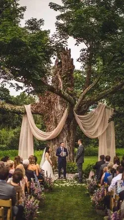 amazing wedding