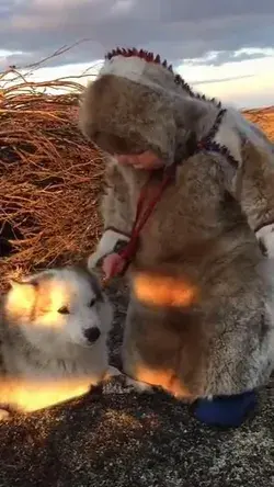 A tiny northern girl tries to play with a puppy