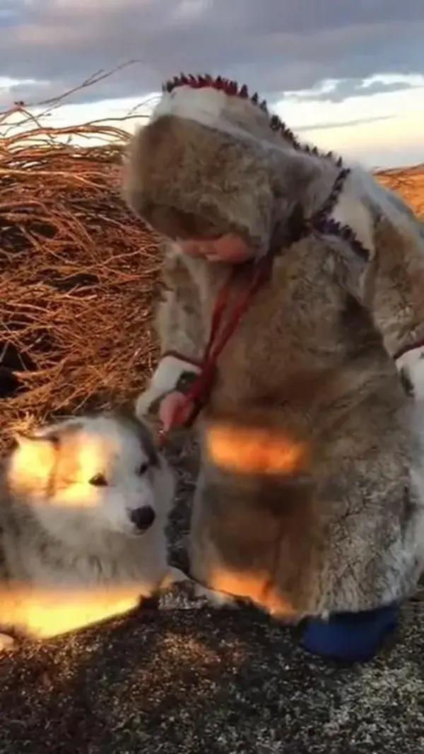 A tiny northern girl tries to play with a puppy