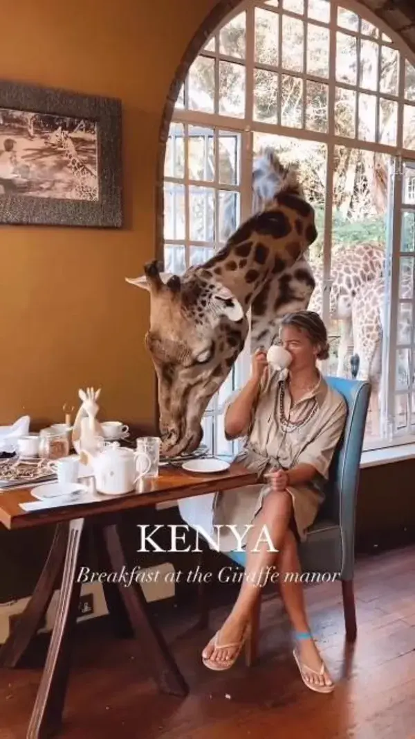 Breakfast at Giraffe Manor in Nairobi, Kenya 🦒☕️