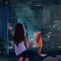 Beautiful, rainy night 🌧️