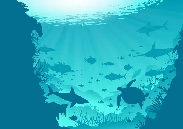 Ocean silhouette scene