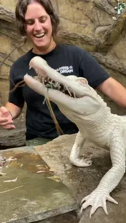 Chomping into happiness, one bite at a time, at The reptile zoo, Fountain Valley, USA