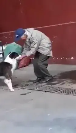 Elderly man helps stray dog drink water 