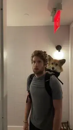 I’d rather be in the elevator with the corgi