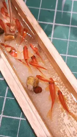 Red koi acrylic painting process on resin layers