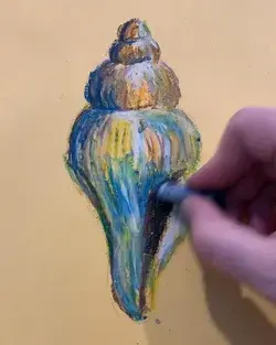 Shells in oil pastel