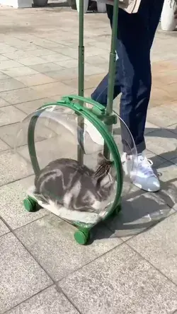 Cat Cart Bag