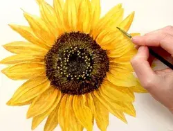 How to paint a realistic sunflower in watercolour - Anna Mason Art