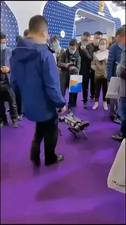 AI pet is getting trained. What do you think?