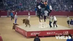 Corrida de toros