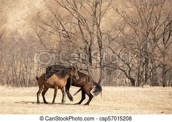 canstockphoto.es