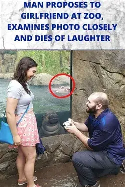 Man Proposes To Girlfriend At Zoo, Examines Photo Closely And Dies Of Laughter