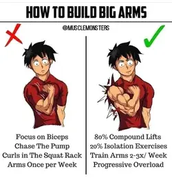 How to build big arms 💪💯