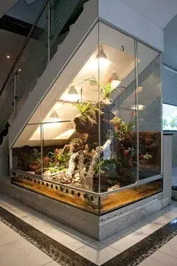 Good Photo Reptile Terrarium room Suggestions