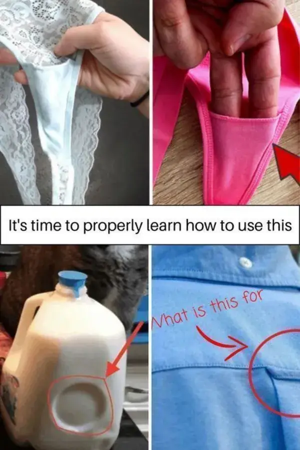 37+ Everyday things with hidden features we didn’t know the purpose of