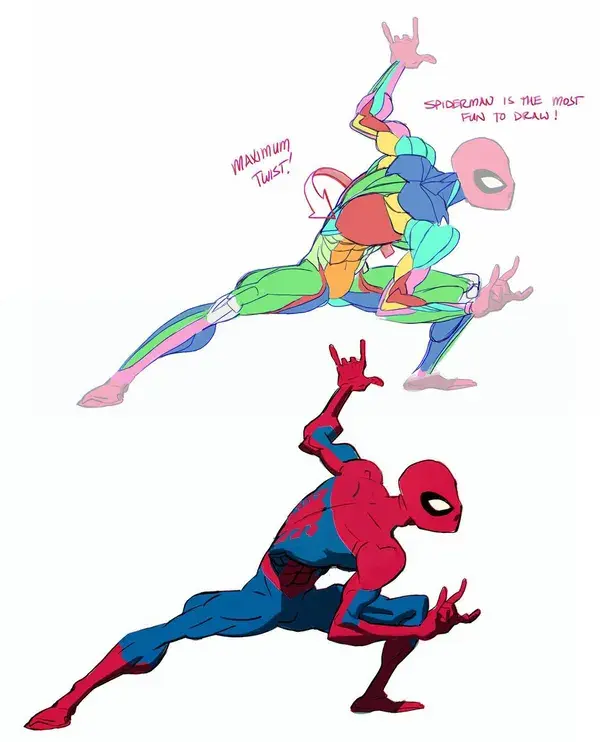 spiderman anatomy