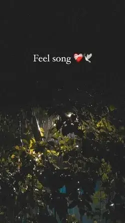 Feel Song ❤️‍🩹🕊