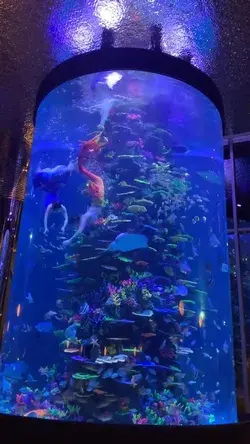 Big cylinder aquarium fish tank for mermaid show