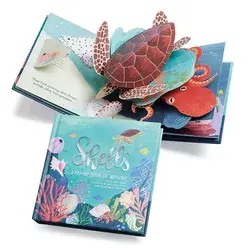 Shells Pop-Up Book