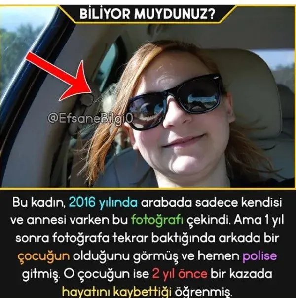 Bilgi